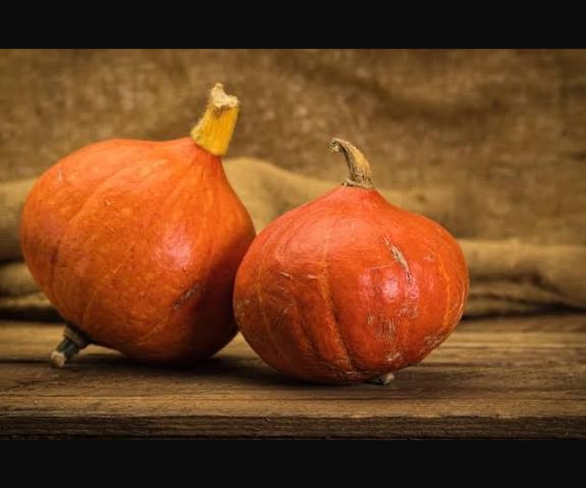 <h3 class='prettyPhoto-title'>Velouté de potimarron </h3>