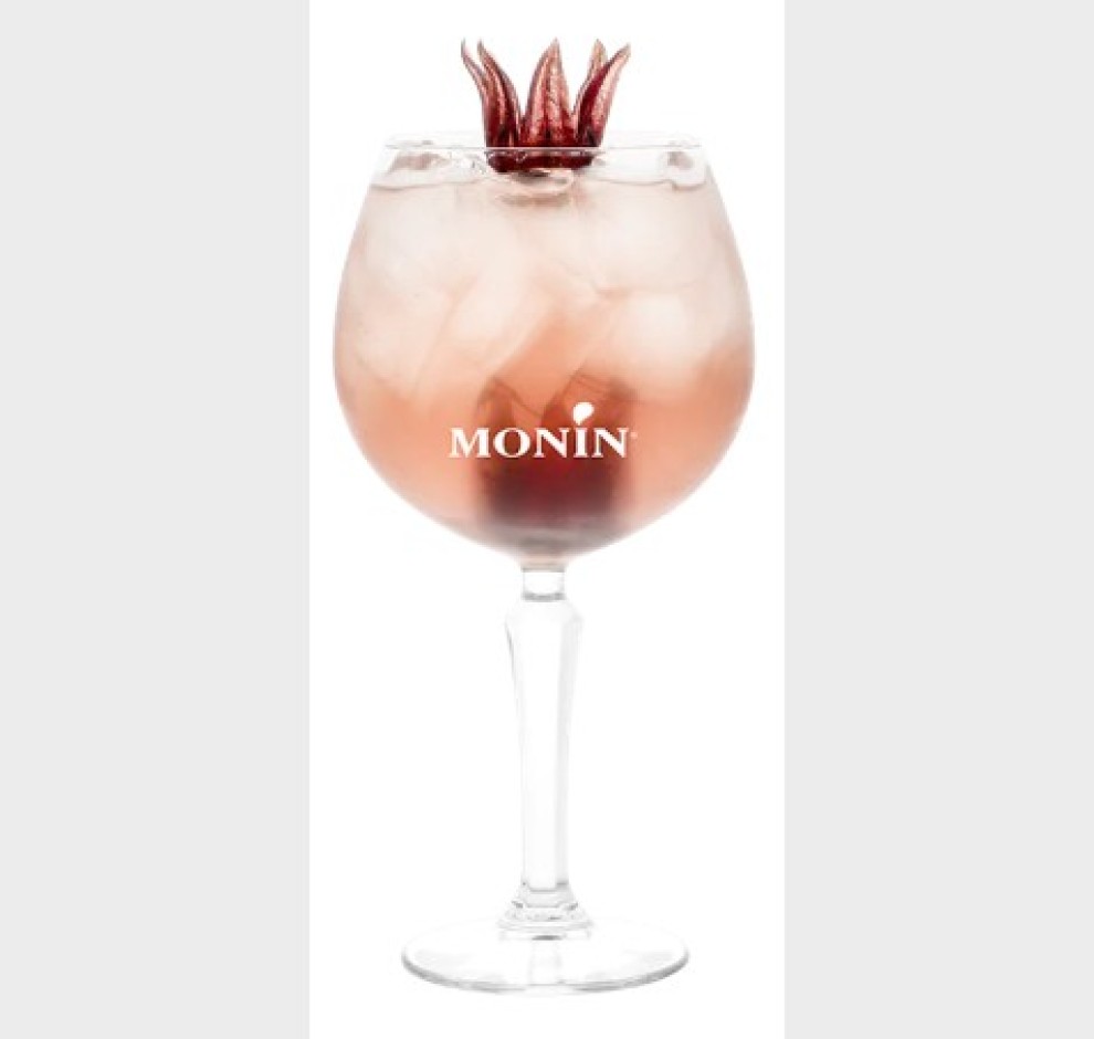 <h6 class='prettyPhoto-title'>Gin To Hibiscus </h6>