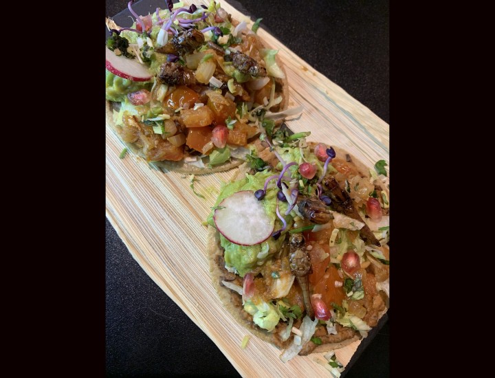 <h3 class='prettyPhoto-title'>Chapulines Tacos</h3>