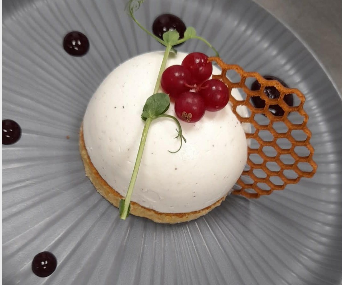 <h3 class='prettyPhoto-title'>Alexis' Yogurt Dome</h3>